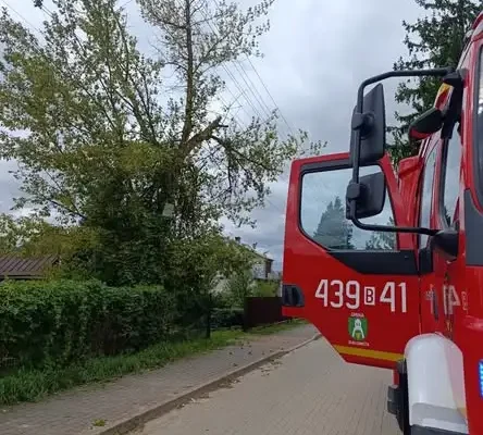 Interwencja OSP Białowieża: gałąź na przewodach elektrycznych