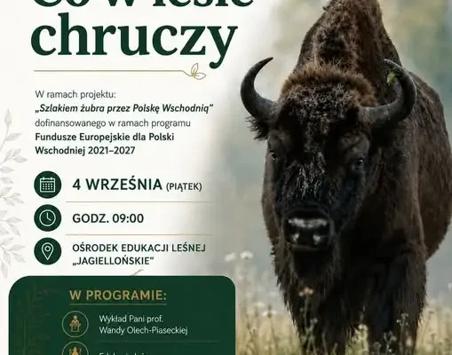 Chruczący król puszczy – Nadleśnictwo Białowieża zaprasza na wyjątkowe wydarzenie