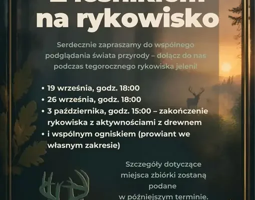 Rykowisko w Puszczy Białowieskiej – zapisy na wspólne wyjścia z leśnikami