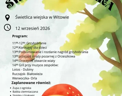 Święto Borowika w Gminie Dubicze Cerkiewne – grzybowa wyprawa już w sobotę