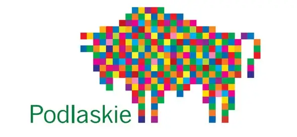 XVII Hajnowska Dwunastka: 67 biegaczy na 12 km w Puszczy Białowieskiej