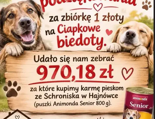 Szkolny Wolontariat z Hajnówki zebrał prawie 1000 zł na karmę dla psich seniorów