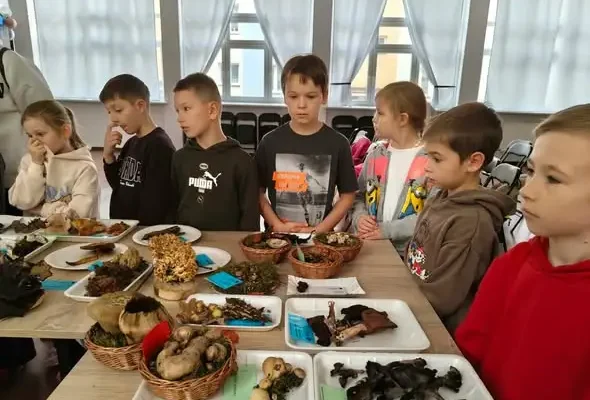 Uczniowie z Hajnówki odkrywali tajemnice grzybów na jubileuszowej wystawie