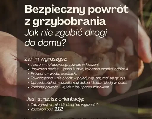 Bezpieczne grzybobranie: jak nie zgubić się w lesie i zadbać o seniorów