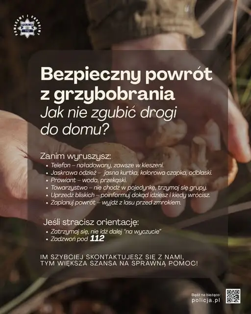 Bezpieczne grzybobranie: jak nie zgubić się w lesie i zadbać o seniorów
